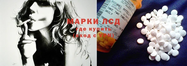 хмурый Алексин