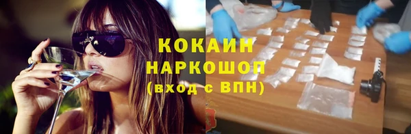 хмурый Алексин