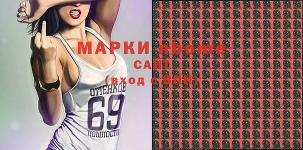 хмурый Алексин