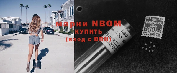 хмурый Алексин